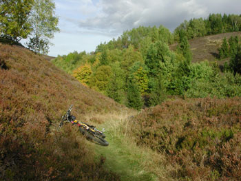 Mountainbiken Harz, Bad Grund